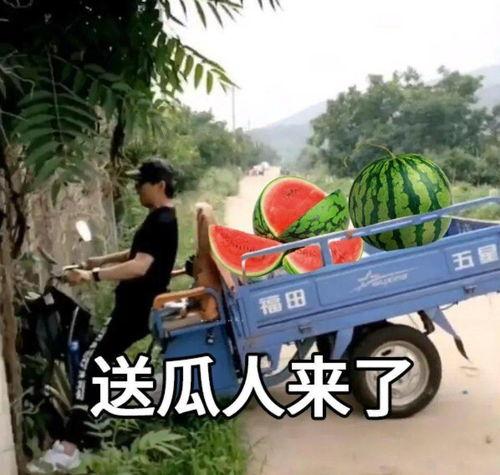 娱乐吃瓜文案搞笑头像,搞笑头像背后的娱乐盛宴