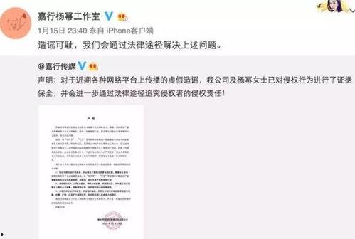 娱乐圈吃瓜小说连更,娱乐圈吃瓜者的逆袭之路