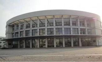娱乐吃瓜酱洛阳理工学院,娱乐吃瓜酱带你揭秘校园风云