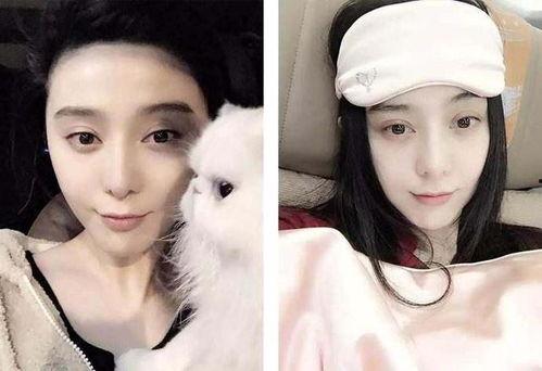 娱乐圈十大吃瓜女星小说,揭秘十大吃瓜女星的幕后故事