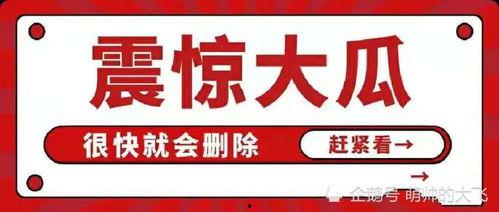娱乐圈吃瓜段子大全,笑料百出的吃瓜段子大全