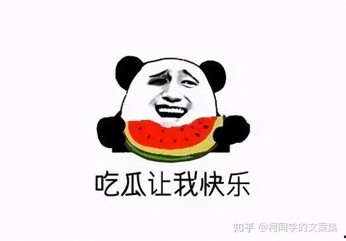 娱乐吃瓜酱不好意思,不好意思，这瓜太香了！